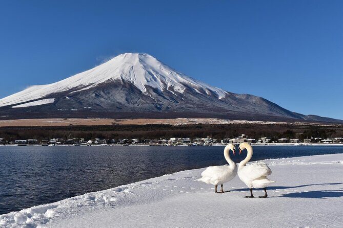 Tokyo: Mount Fuji One Day Trip Lake Kawaguchi & Lake Yamanaka - Lake Yamanaka: swan-lake vibes and another Fuji angle