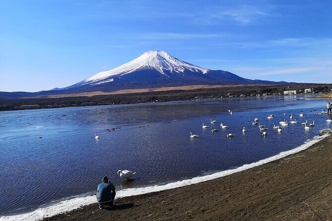 Tokyo: Mount Fuji One Day Trip Lake Kawaguchi & Lake Yamanaka - Oshino Hakkai: the clear-spring pond detour that’s worth the hour