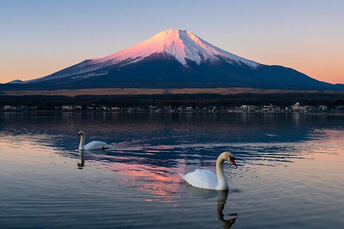 Tokyo: Mount Fuji One Day Trip Lake Kawaguchi & Lake Yamanaka - Lawson Fujikawaguchiko Town Hall: the quick Instagram stop (and snacks)