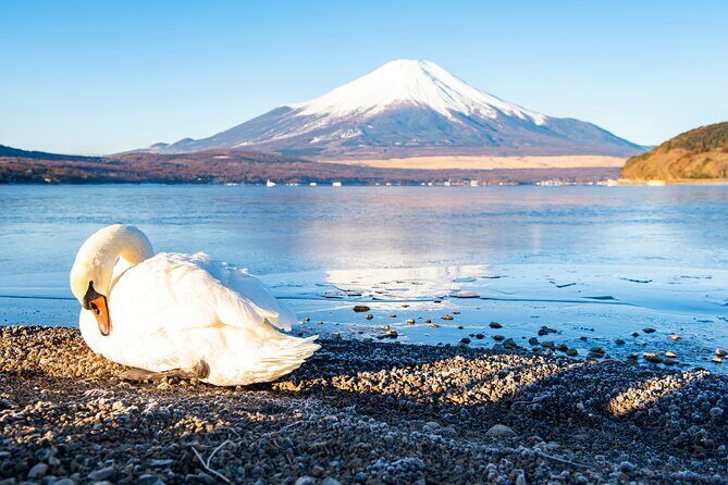 Tokyo: Mount Fuji One Day Trip Lake Kawaguchi & Lake Yamanaka - Lake Kawaguchiko: the classic Fuji-from-the-shore hit