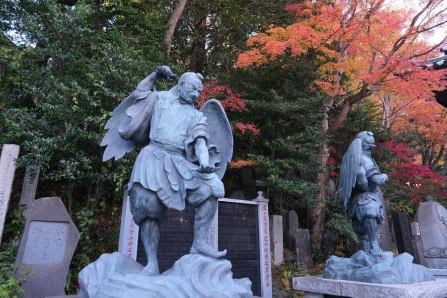 Tokyo: Mount Takao Guided Hiking Tour - Suspension Bridge, Torii gate, and the cedar tree avenue