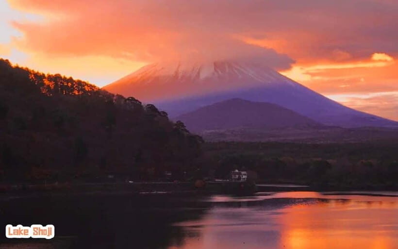 Tokyo: Mt Fuji 3 Lakes Day Trip | 9-Guest Small Group - Oishi Park area (plus Lunch time): how the scenery shifts through the year