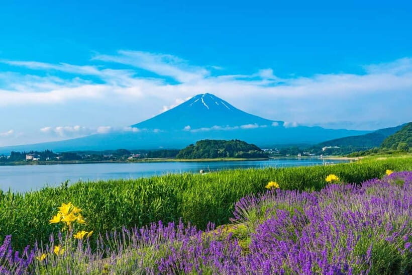 Tokyo: Mt. Fuji 5th St. & Hakushu Distillery Whisky Museum - Price and value: what $87 covers, and what you pay on site