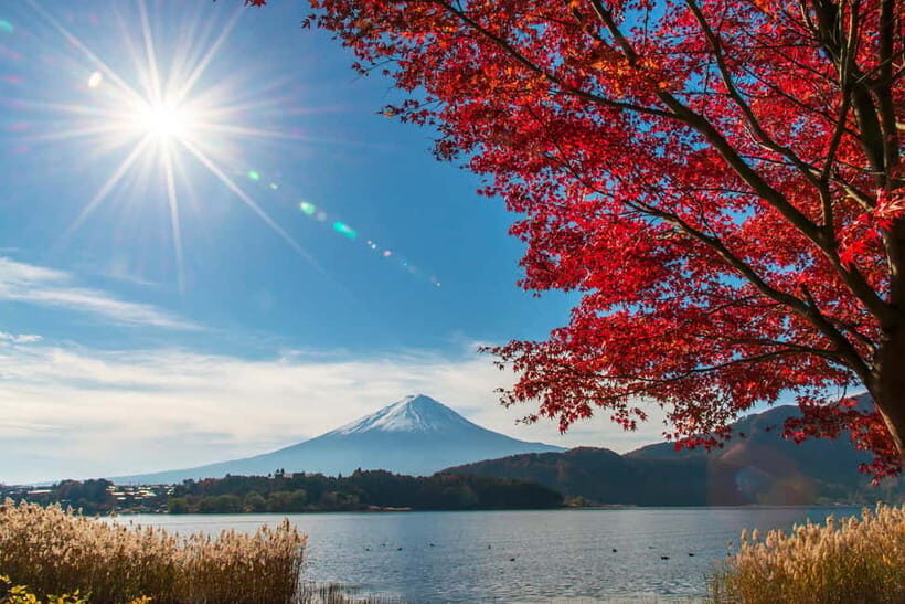 Tokyo: Mt. Fuji 5th St. & Hakushu Distillery Whisky Museum - Oishi Park: a quick, classic lake-and-Fuji photo stop