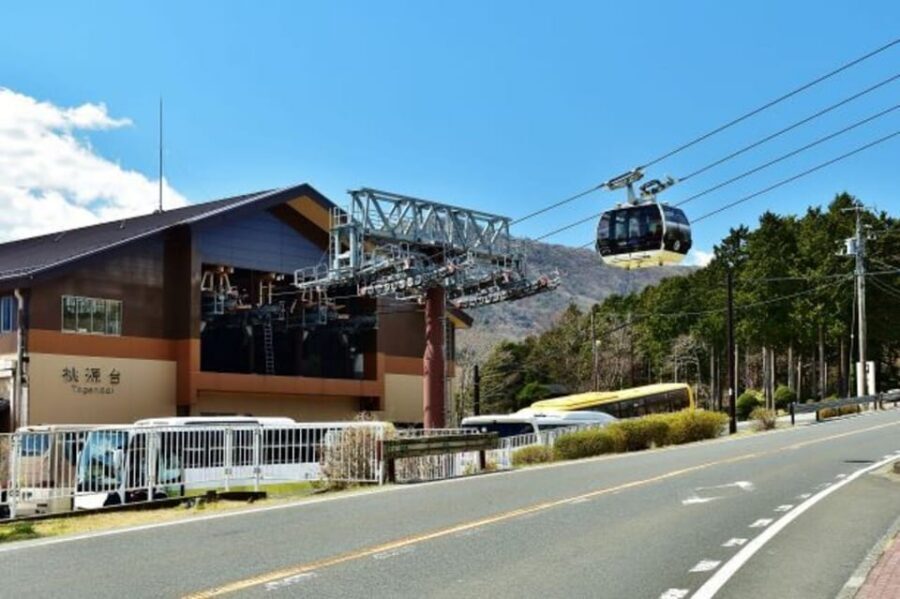Tokyo: Mt. Fuji and Hakone Tour with Cable Car and Cruise - Hakone Ropeway to Owakudani: sulfur air, steam views, and safety notes