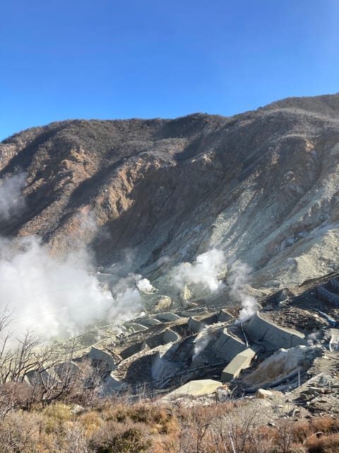 Tokyo: Mt. Fuji and Hakone Tour with Cable Car and Cruise - The pace and the guide’s job: why timing can feel rushed
