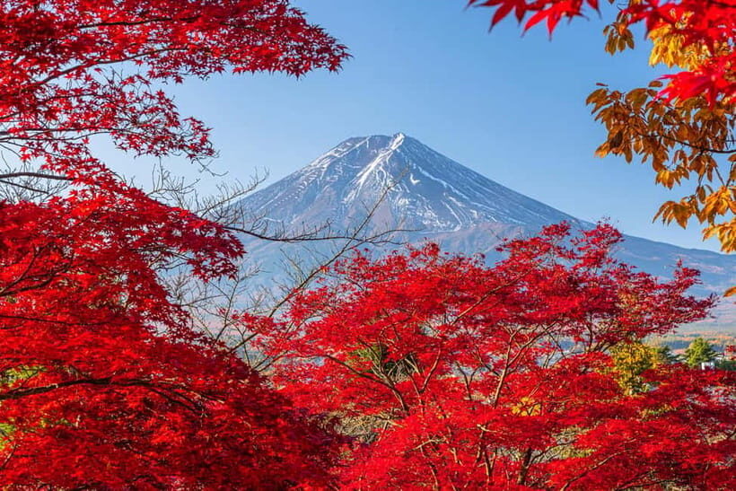 Tokyo: Mt. Fuji, Arakurayama Sengen Park, Oshino Hakkai Tour - Key things to know before you go
