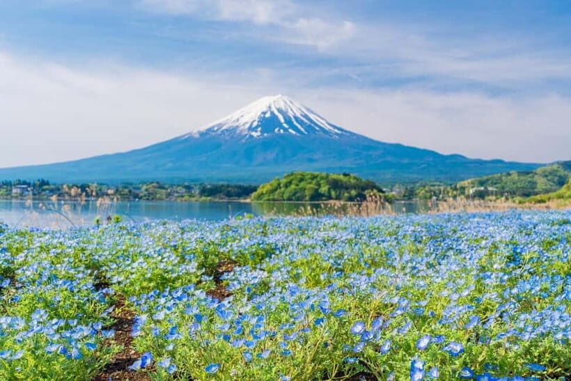 Tokyo: Mt. Fuji, Arakurayama Sengen Park, Oshino Hakkai Tour - Weather reality: what you should hope for and what you can’t control