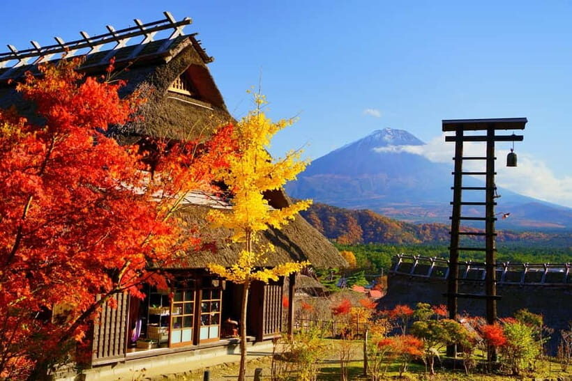 Tokyo: Mt. Fuji, Arakurayama Sengen Park, Oshino Hakkai Tour - A Fuji day trip from Shinjuku: what 9.5 hours feels like