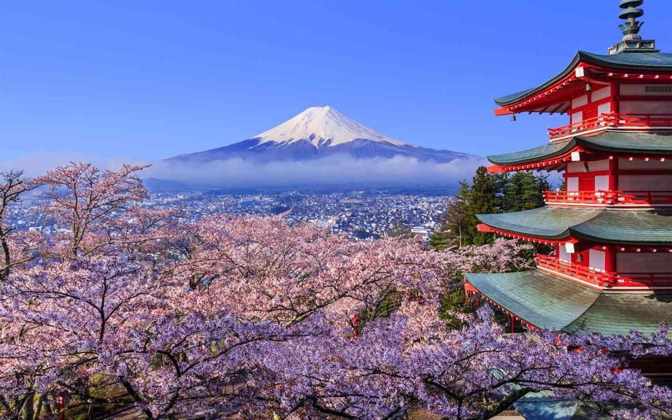Tokyo: Mt. Fuji & Hakone Cherry Blossoms Private Day Tour - Key highlights that matter