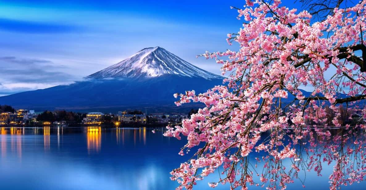 Tokyo: Mt. Fuji & Hakone Cherry Blossoms Private Day Tour - A private van day that actually fits real travel life