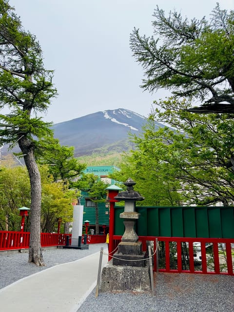 Tokyo: Mt. Fuji & Hakone Cherry Blossoms Private Day Tour - Lake Ashi and Hakone: Mt. Fuji meets the volcanic caldera