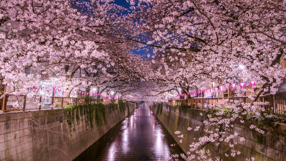 Tokyo: Mt. Fuji & Hakone Cherry Blossoms Private Day Tour - Owakudani crater: sulfur fumes, hot rivers, and big scenery