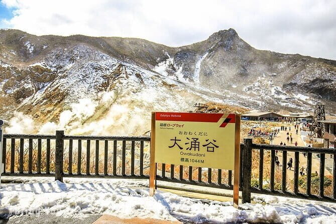 Tokyo Mt. Fuji Hakone Shrine, Owakudani, Lake Yamanakai Day Tour - How this day tour actually plays out from Tokyo