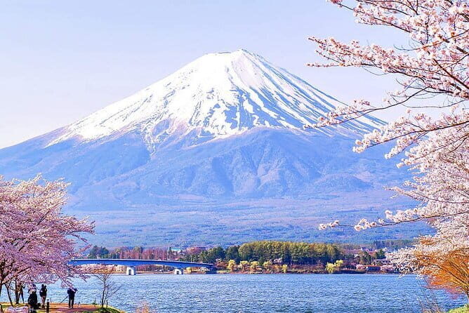 Tokyo Mt. Fuji Hakone Shrine, Owakudani, Lake Yamanakai Day Tour - Oshino Hakkai: eight springs and Fuji reflections