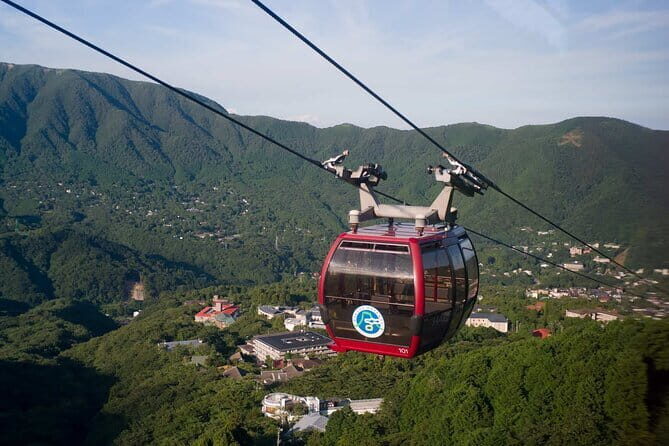 Tokyo Mt. Fuji Hakone Shrine, Owakudani, Lake Yamanakai Day Tour - Hakone Ropeway and the ride toward Owakudani’s crater views