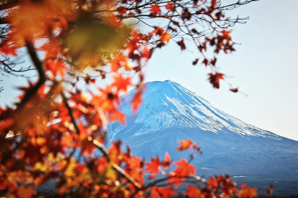 Tokyo: Mt. Fuji Hidden Gems and Aokigahara Forest Tour - Timing, Tickets, and What to Pack (So You Don’t Waste the Day)