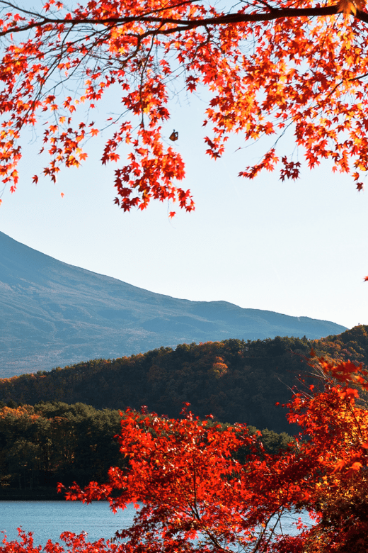 Tokyo: Mt. Fuji Hidden Gems and Aokigahara Forest Tour - Why This Fuji Day Feels Like a Choice, Not a Schedule