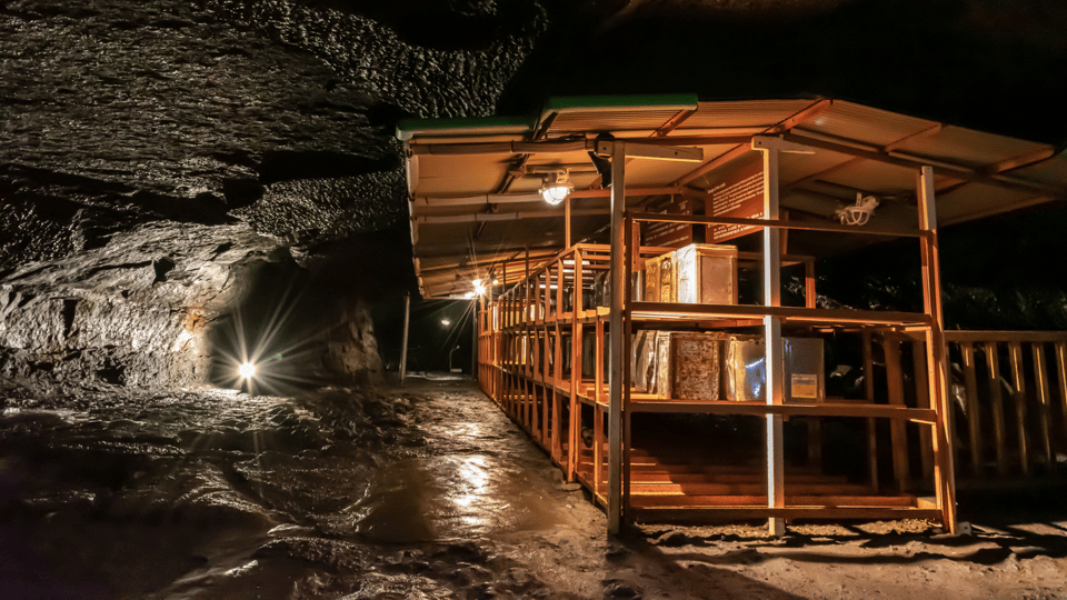 Tokyo: Mt. Fuji Hidden Gems and Aokigahara Forest Tour - Oishi Park: Your First Big Fuji Frame