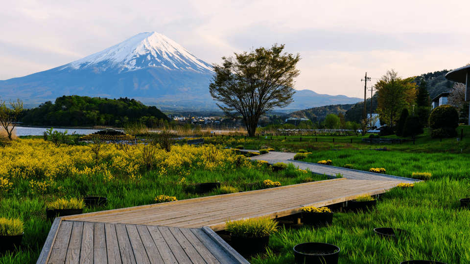 Tokyo: Mt. Fuji Hidden Gems and Aokigahara Forest Tour - Fugaku Wind Cave: Geology and Silkworm Egg Storage