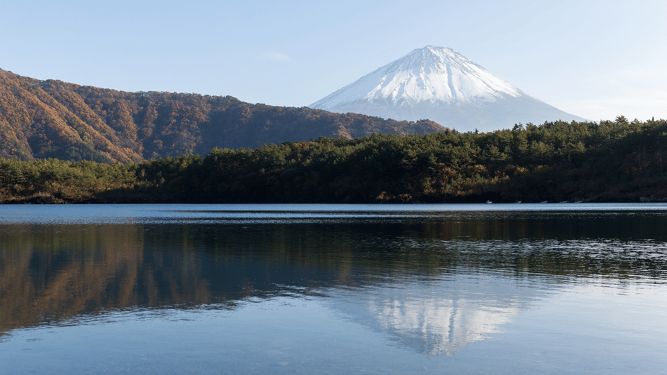 Tokyo: Mt. Fuji Hidden Gems and Aokigahara Forest Tour - Aokigahara Forest: Walking the Trails Beyond the Reputation