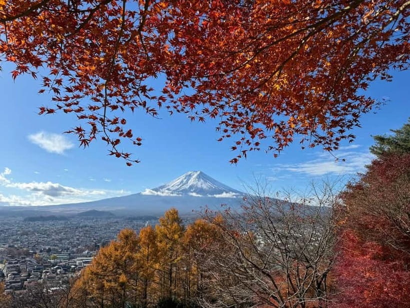 Tokyo: Mt. Fuji Highlights Tour with Lake Kawaguchi Cruise - Key Highlights Worth Your Time