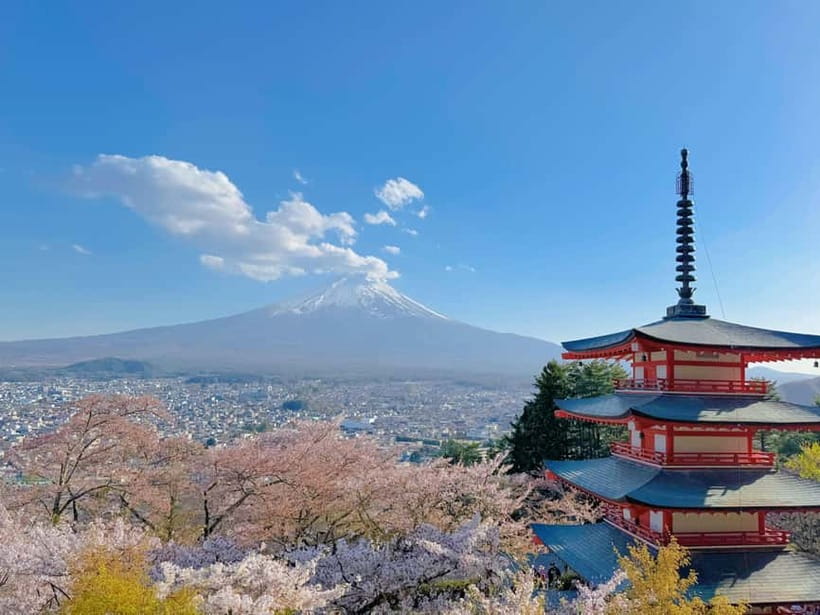 Tokyo: Mt. Fuji & Lake Kawaguchi Instagram Full Day Trip - Price and Value: What $61 Covers (and What You’ll Pay Separately)