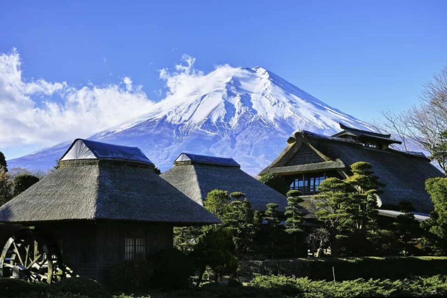 Tokyo: Mt. Fuji & Lake Kawaguchi Private Tour with Transfer - Fuji-Q Highland: theme-park time with a short leash