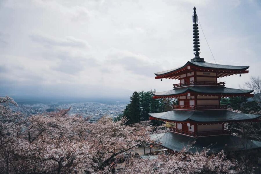 Tokyo: Mt. Fuji & Lake Kawaguchi Private Tour with Transfer - Why a private Mt. Fuji day beats DIY (especially in peak hours)