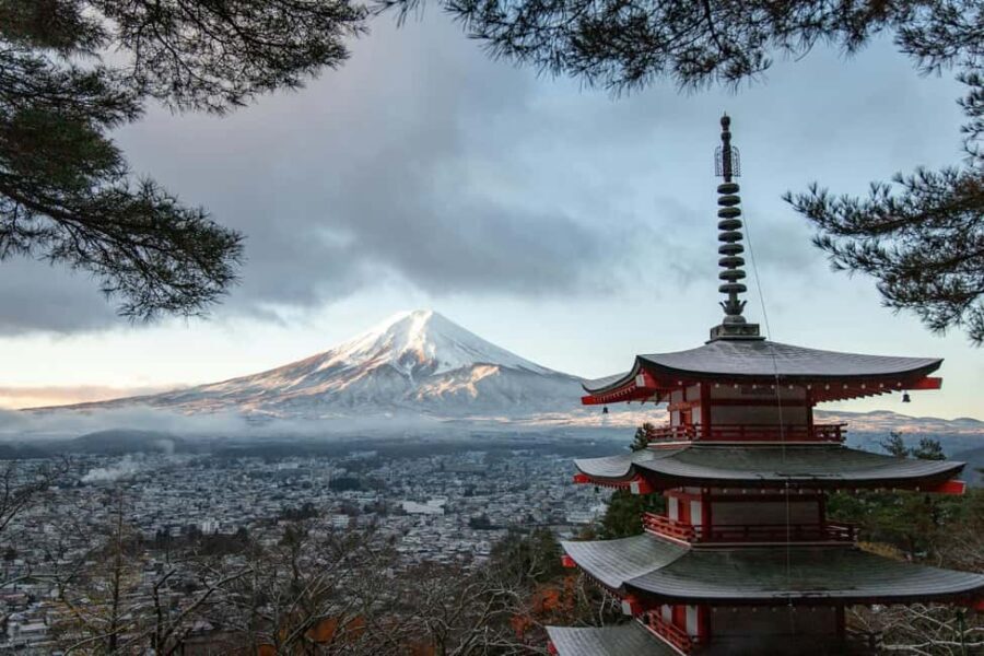 Tokyo: Mt. Fuji & Lake Kawaguchi Private Tour with Transfer - Pickup choices and the 10-hour timing reality