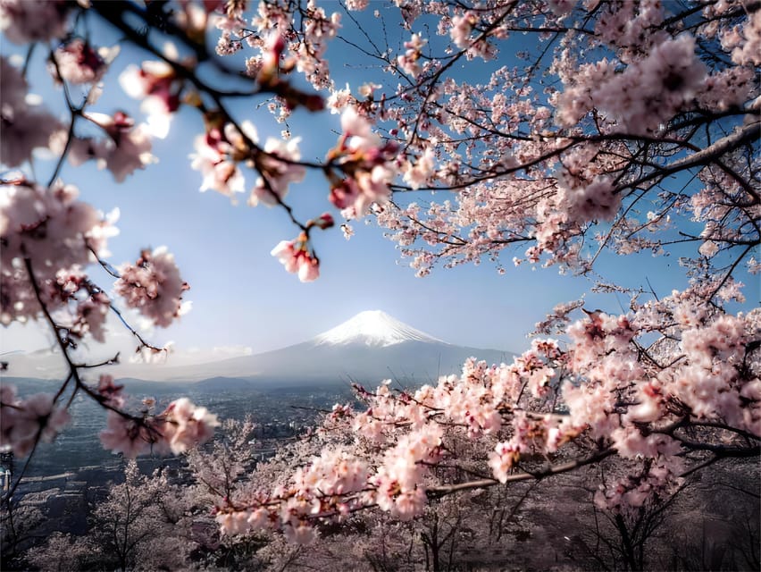 Tokyo: Mt Fuji Lake Kawaguchi & Yamanaka Hot Spring Day Tour - Oshino Hakkai: spring-water ponds and a calm lunch break