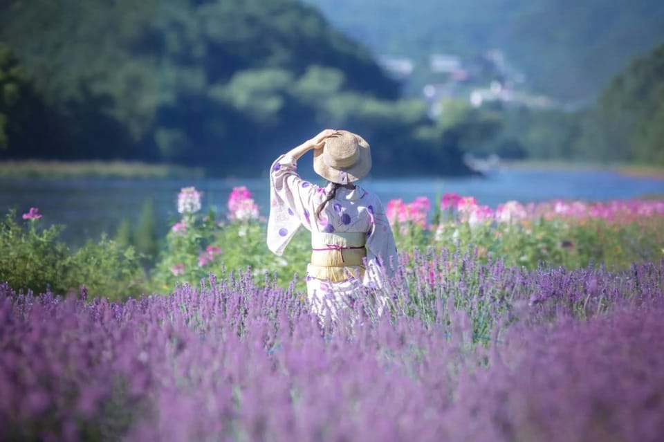 Tokyo: Mt Fuji Lake Kawaguchi & Yamanaka Hot Spring Day Tour - Price, value, and what $68 really covers