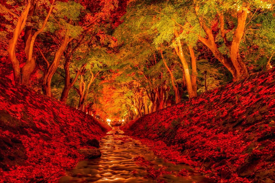 Tokyo: Mt Fuji Lake Kawaguchiko Tour & Arakuyama Sengen Park - Oshino Hakkai: the UNESCO ponds that make Fuji feel peaceful
