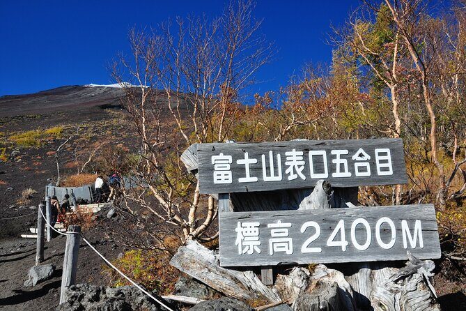 Tokyo: Mt. Fuji, Oshino Hakkai and Gotemba Outlets 1-Day Bus Tour - A One-Day Fuji Plan That Doesn’t Waste Your Time