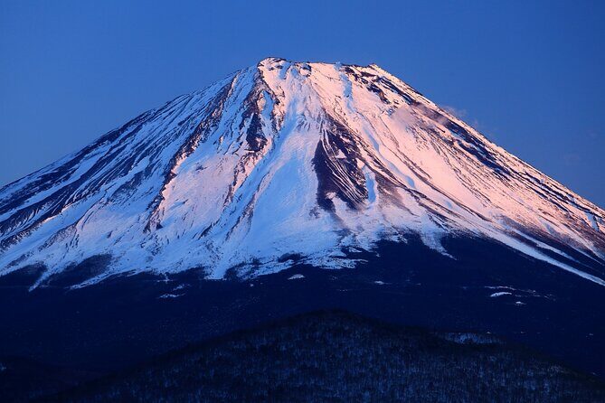 Tokyo: Mt. Fuji, Oshino Hakkai and Gotemba Outlets 1-Day Bus Tour - Mt. Fuji 5th Station: Worth the Cold, Even If You Have Only 40 Minutes