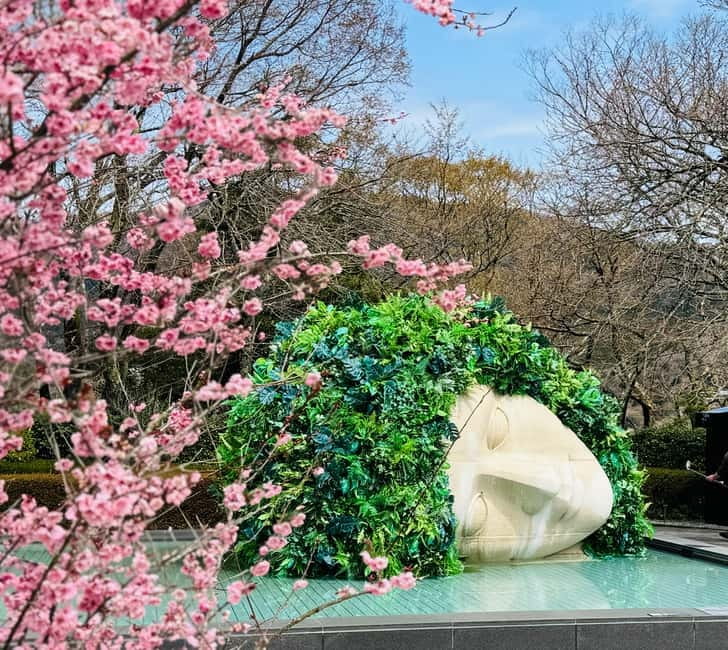 Tokyo: Mt. Fuji, Owakudani, Hakone Shrine, & Open-Air Museum - Why Hakone Makes Sense as a One-Day Trip