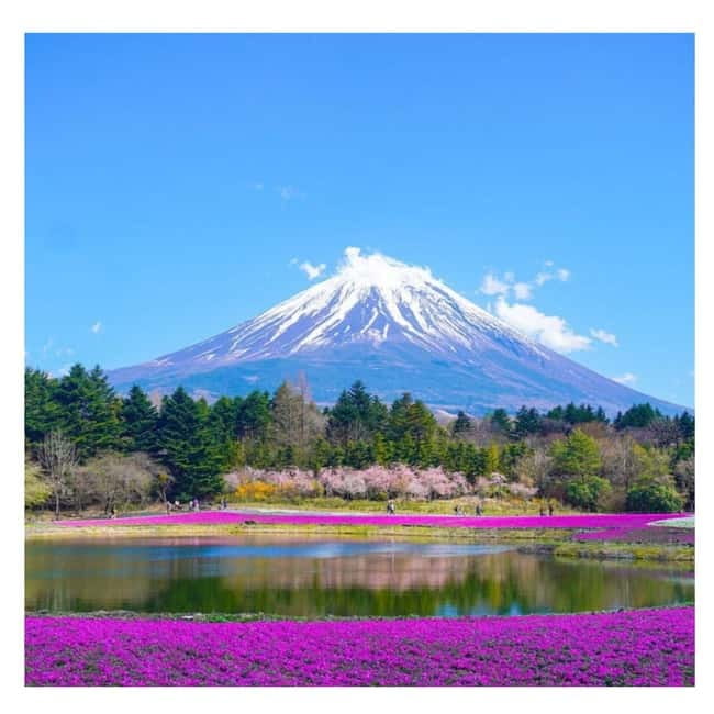 Tokyo: Mt Fuji Private Day Tour By English Driver Low Price - Key things that make this Fuji day different