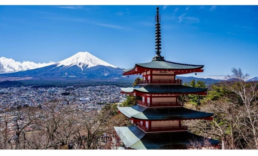 Tokyo: Mt Fuji Private Day Tour with English-speaking Driver - Oshino Hakkai’s Spring Ponds: More Than a Quick Photo