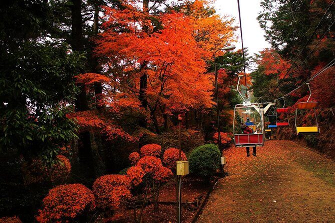 Tokyo: Mt. Takao Tour with Ramen and Tattoo-Okay Hot Spring - Key highlights I’d plan around