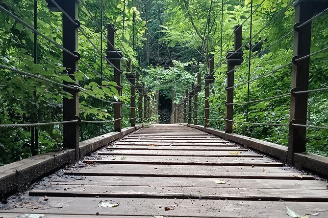 Tokyo: Mt. Takao Tour with Ramen and Tattoo-Okay Hot Spring - Mt. Fuji views: peak time depends on clear weather
