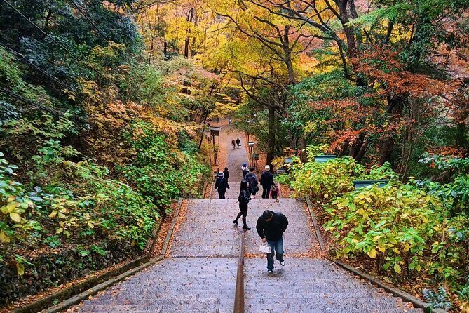 Tokyo: Mt. Takao Tour with Ramen and Tattoo-Okay Hot Spring - Price and value: what $120 covers (and what it doesn’t)