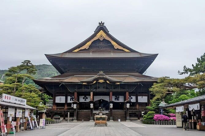 Tokyo Nagano Snow Monkey Park and Zenkoji Temple English driver - The Big Idea: A Single Day With Three Very Different Nagano Moments