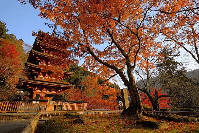 Tokyo Nagano Snow Monkey Park and Zenkoji Temple English driver - Driver and Safety: What the Private Format Can Mean for You