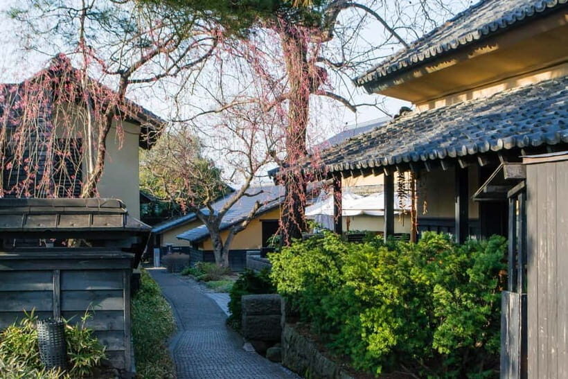 Tokyo: Nagano Snow Monkeys and Zenkoji Tour with Temples - Guide Quality and Comfort You Can Feel in the Details