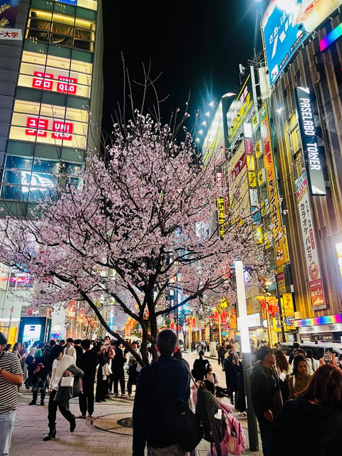 Tokyo Night Drive Wangan Expressway and Daikoku PA - Daikoku Parking Area: the car-spotting stop that makes the night