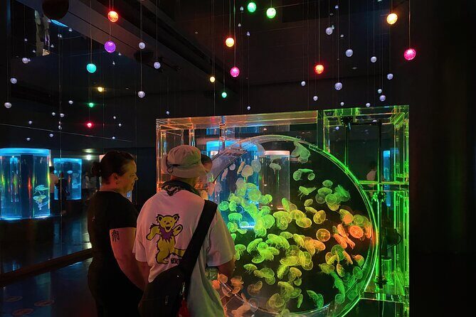 Tokyo Night E-Bike Tour with Tokyo Tower and Dolphin Show - How the Ride Blends Modern Tokyo and Old-School Temple Time