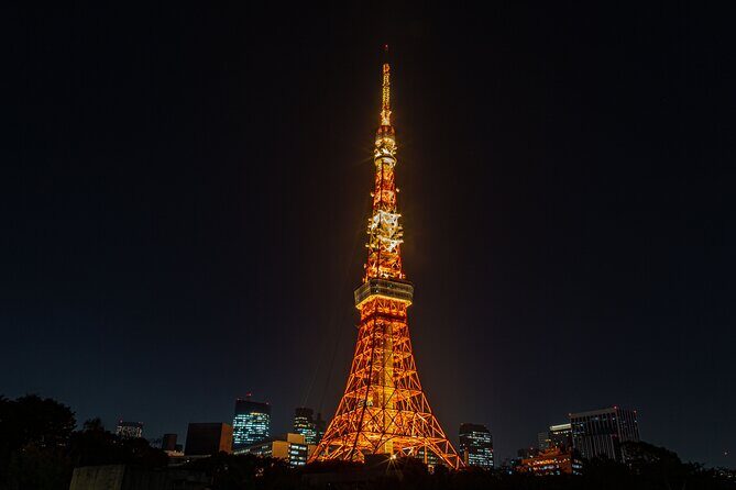 Tokyo Night E-Bike Tour with Tokyo Tower and Dolphin Show - Price and Value: Is $104.51 a Fair Deal?