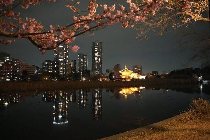 Tokyo Night Tour Akihabara, Shibuya, Karaoke and City Lights - Meeting Point Timing: Why 5:40 pm Matters