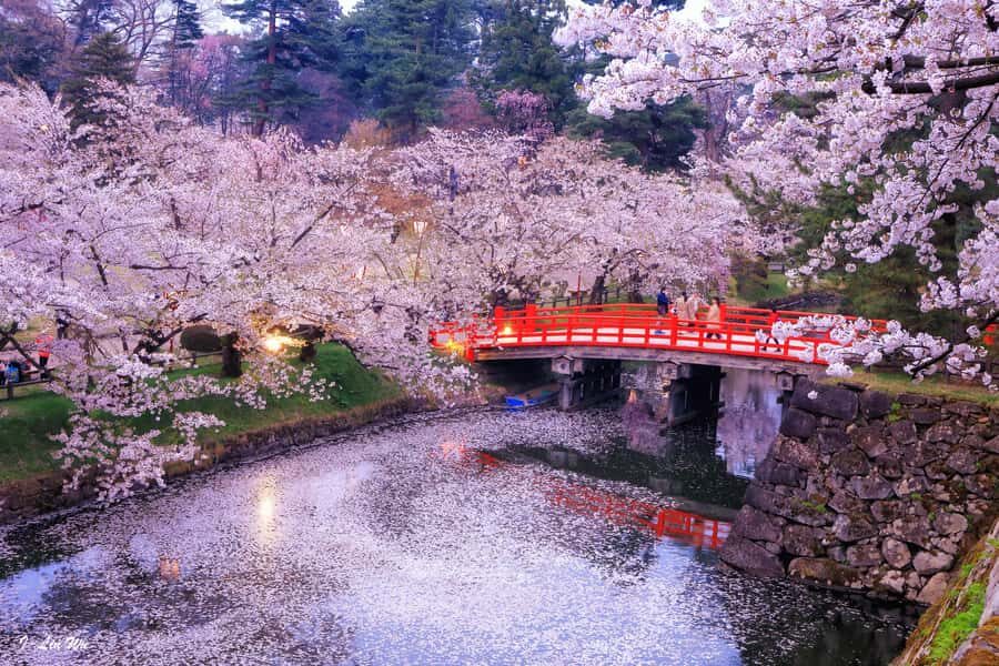 Tokyo: Nikko Day Tour Shrines, Lake Chūzenji & Kegon Falls - UNESCO Nikko Toshogu: Where Architecture Does the Talking