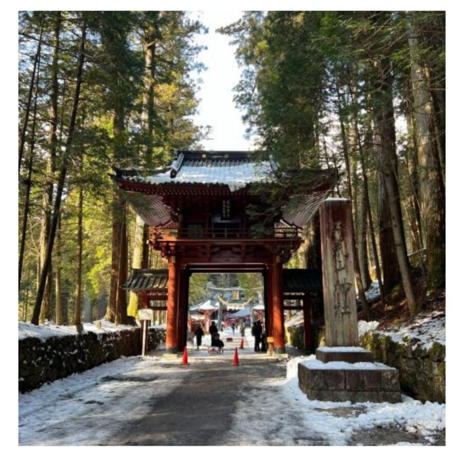 Tokyo: Nikko Day Tour Shrines, Lake Chūzenji & Kegon Falls - Shinkyo Bridge: A Short Walk, Big Nikko Feeling